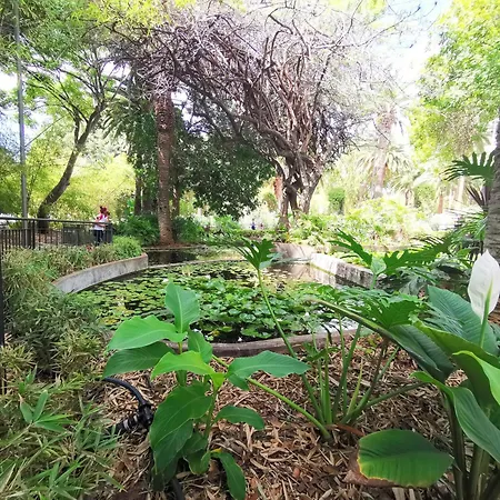 Home2book Bright & Communal Pool Cruz סנטה קרוז דה טנריף