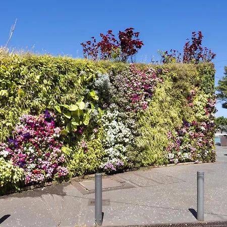 Home2book Bright & Communal Pool Cruz * סנטה קרוז דה טנריף