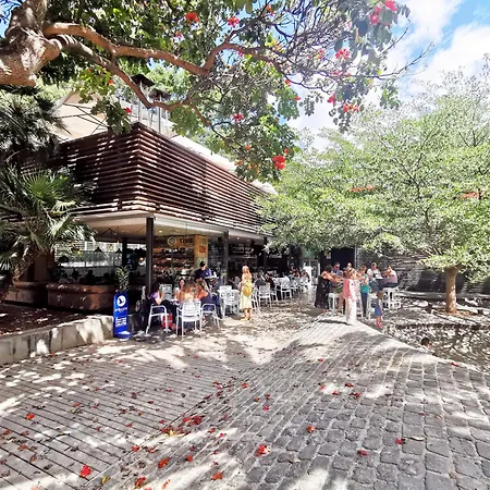 Home2book Bright & Communal Pool Cruz 公寓