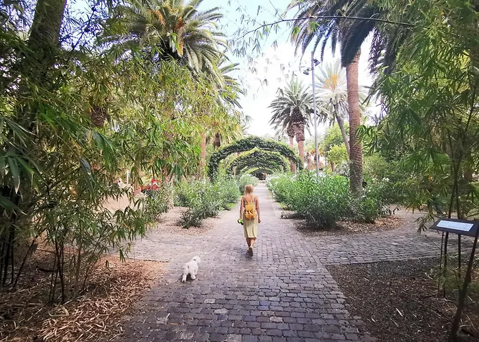 公寓 Home2book Bright & Communal Pool Cruz