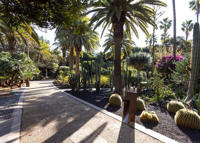 Home2book Bright & Communal Pool Cruz * 圣克鲁斯-德特内里费