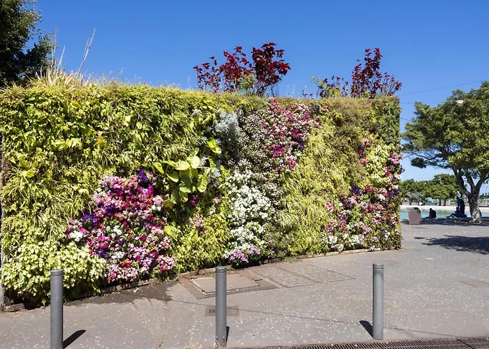 Home2book Bright & Communal Pool Cruz * 산타크루스데 테네리페