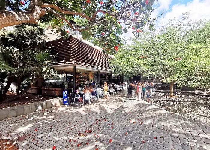 Home2book Bright & Communal Pool Cruz דירה