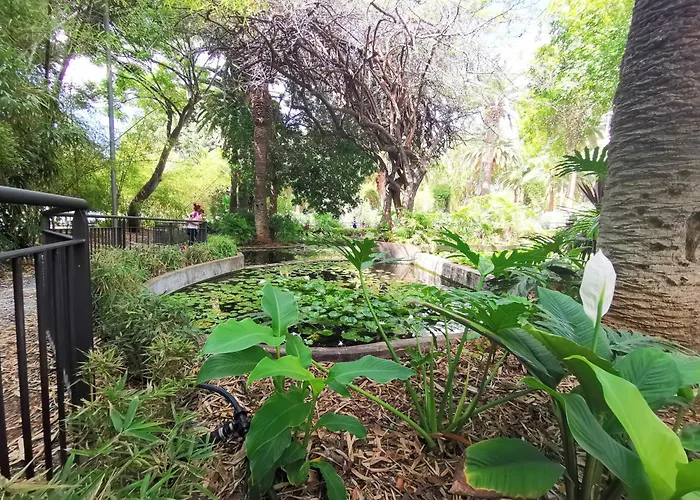 Home2book Bright & Communal Pool Cruz סנטה קרוז דה טנריף