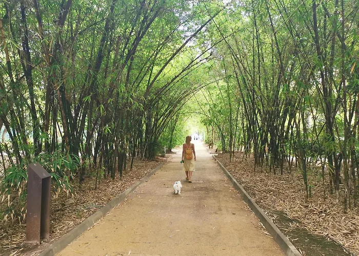 דירה Home2book Bright & Communal Pool Cruz *