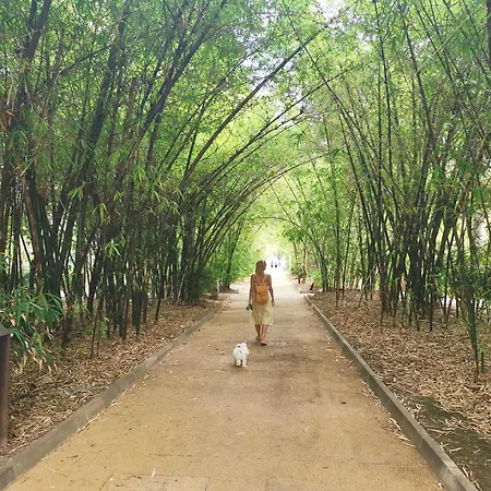 Appartamento Home2book Bright & Communal Pool Cruz *